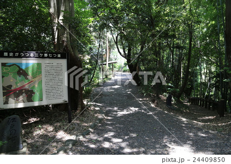 東海道五十三次歴史がうつる三ケ野七つ道 24409850