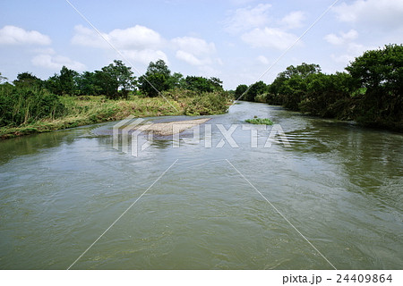 日本の自然 台風のあとの河川 24409864