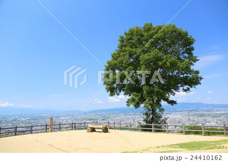 奈良 若草山三重目 奈良 若草山三重目 24410162