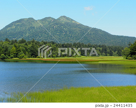 尾瀬沼と燧ケ岳 24411435