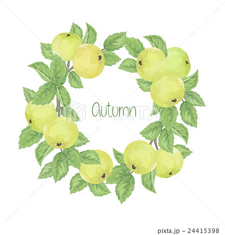 pattern with green apples pattern with green apples 24415398
