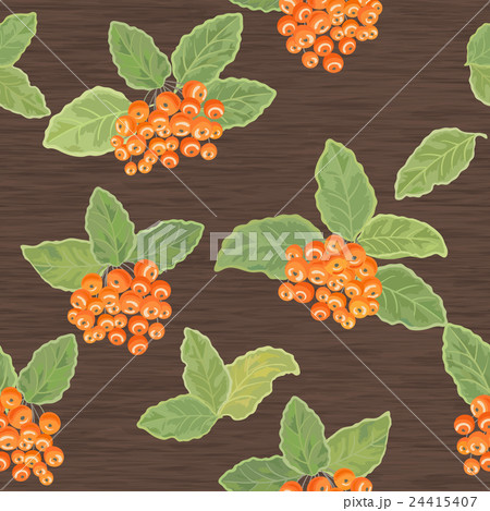 Seamless pattern with rowanberries Seamless pattern with rowanberries 24415407