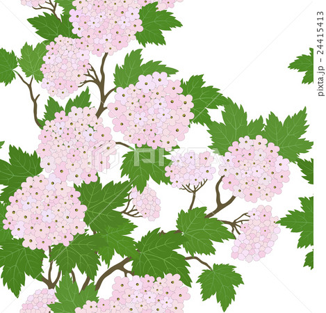 Elegant seamless pattern Elegant seamless pattern 24415413