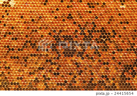 Natural beebread in honeycombs 24415654