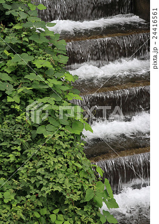 階段状の水路 24416561