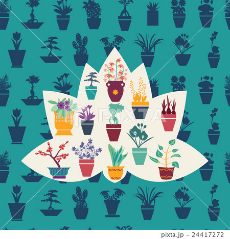 garden flowers and herbs pot plants garden flowers and herbs pot plants 24417272