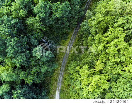 林道 ラリーイメージ(真俯瞰 空撮) 林道 ラリーイメージ(真俯瞰 空撮) 24420464