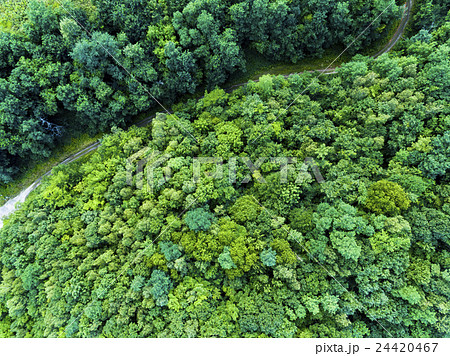林道 ラリーイメージ（真俯瞰 空撮） 24420467