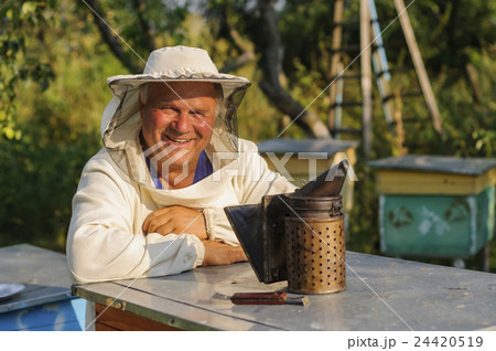 portrait of a beekeeper on apiary at hive portrait of a beekeeper on apiary at hive 24420519