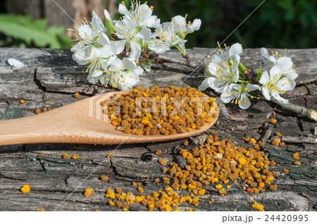 pollen in a wooden spoon pollen in a wooden spoon 24420995