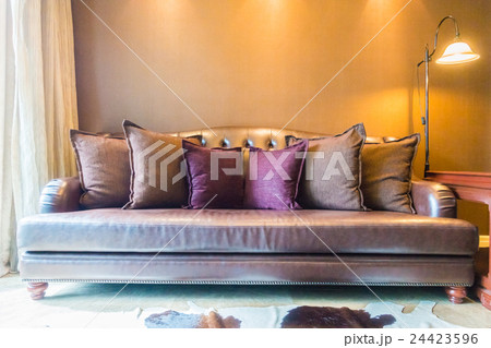Pillow on sofa 24423596