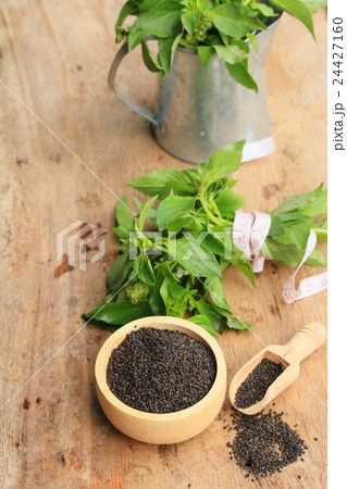 basil seed with fresh basil seed with fresh 24427160