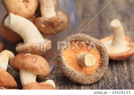 fresh mushrooms 24428135