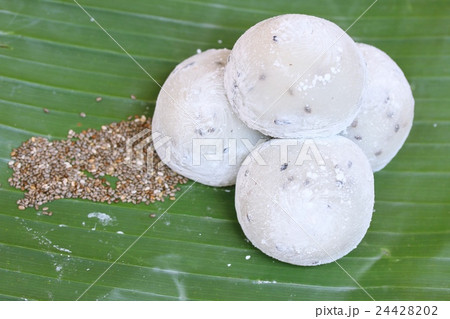 Mochi japanese dessert black sesame Mochi japanese dessert black sesame 24428202