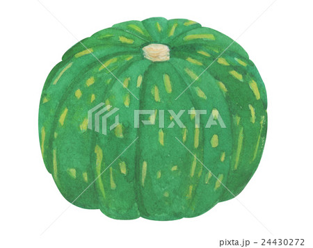 カボチャ 水彩イラスト カボチャ 水彩イラスト 24430272