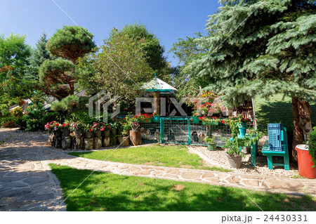 Red New Guinea impatiens flowers in pots Red New Guinea impatiens flowers in pots 24430331