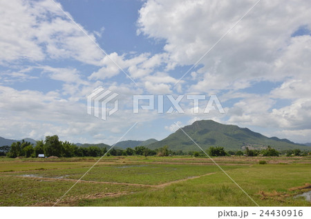 paddy and mountain background paddy and mountain background 24430916
