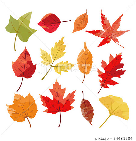 秋の葉 紅葉のイラスト素材