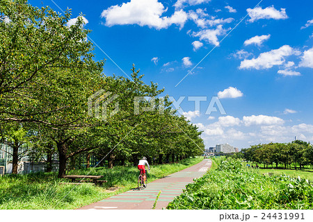 多摩川　サイクリングロード 24431991