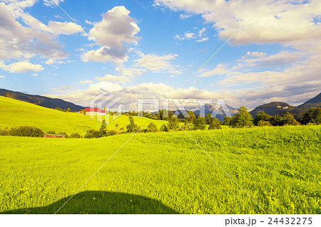 Perfect view from car window at green field Perfect view from car window at green field 24432275