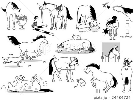 いたずら馬たち いたずら馬たち 24434724