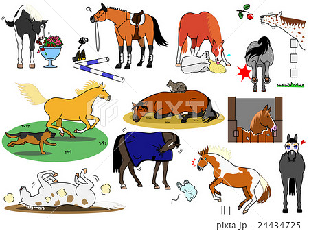 いたずら馬たち いたずら馬たち 24434725