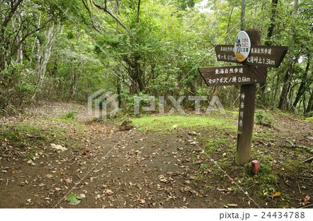 東海自然歩道 畦ヶ丸の道 24434788