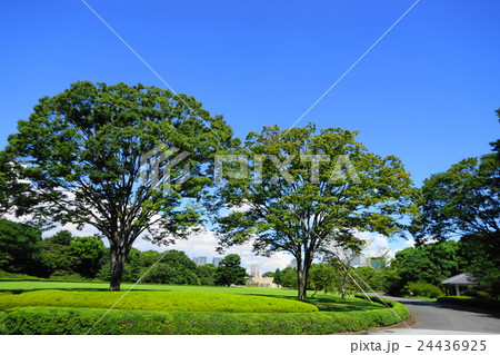 8月 皇居東御苑05天守台 8月 皇居東御苑05天守台 24436925