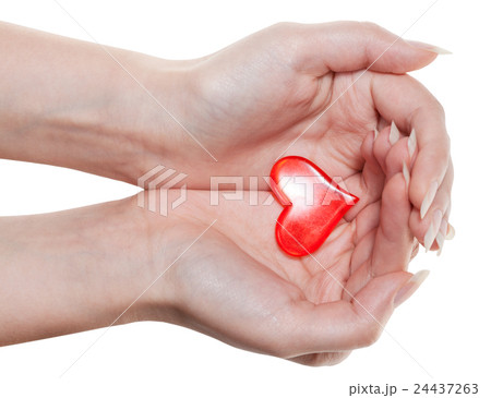 red heart on female palms isolated on white red heart on female palms isolated on white 24437263