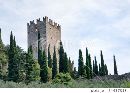 Castle of Arco di Trento - Lake Garda - Italy Castle of Arco di Trento - Lake Garda - Italy 24437313