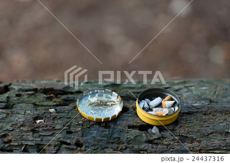 Cigarette butts in box 24437316