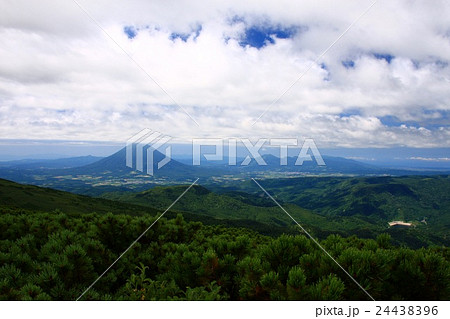 真夏の無意根山から見る羊蹄山とニセコ連峰 24438396