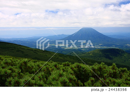 真夏の無意根山から見る羊蹄山 24438398