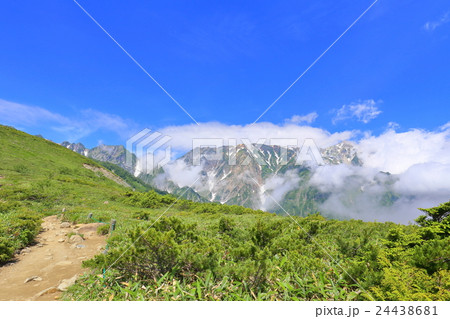 長野県白馬　八方尾根の風景 24438681