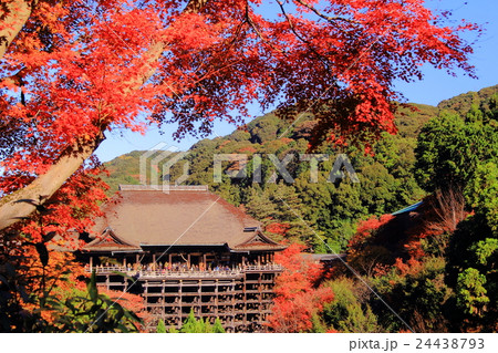 清水寺（京都）境内の紅葉 24438793
