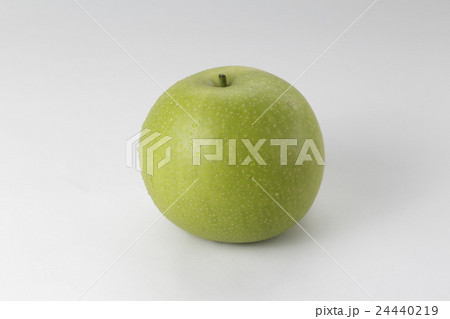 二十世紀梨 24440219