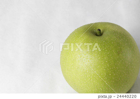 二十世紀梨 24440220