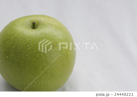 二十世紀梨 24440221