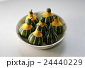 おもちゃかぼちゃ 24440229