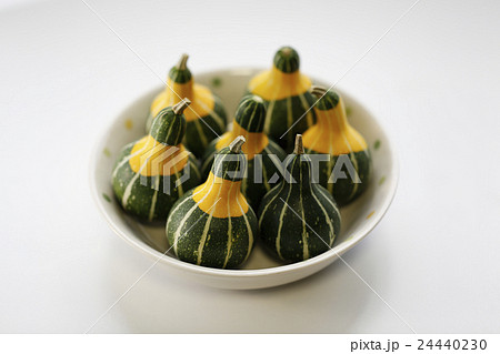 おもちゃかぼちゃ 24440230