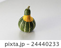 おもちゃかぼちゃ 24440233