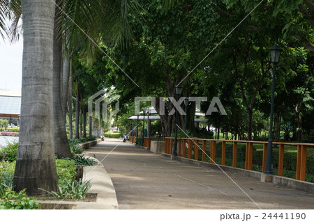 Benjakitti Park（バンコク、ベンジャキティ公園） 24441190