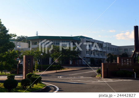 仁愛大学 24442827