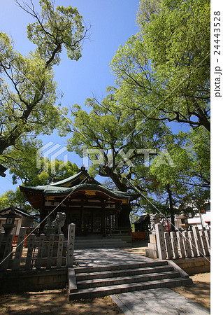 門真市 堤根神社 門真市 堤根神社 24443528
