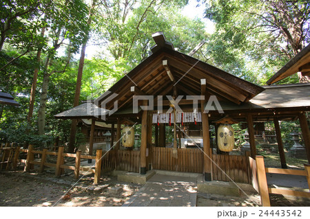 京都市右京区 木嶋坐天照御魂神社 京都市右京区 木嶋坐天照御魂神社 24443542