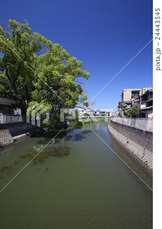 門真市 古川 門真市 古川 24443545