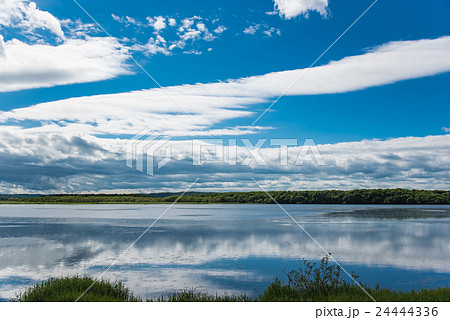 北海道 釧路湿原 シラルトロ湖の夏の写真素材