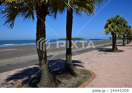 青島ビーチ （宮崎県宮崎市） 24445209