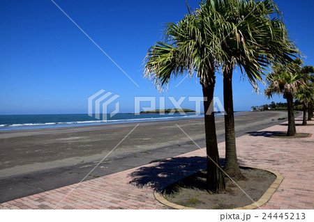 青島ビーチ (宮崎県宮崎市) 青島ビーチ (宮崎県宮崎市) 24445213