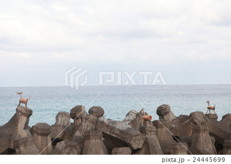 pisilian pisilian 24445699